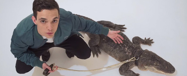 C.Tangana sorprende con Alligator C.Tangana sorprende con Alligator