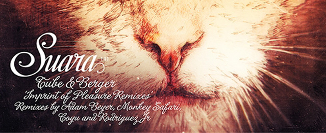 Poderosas remezclas para Imprint of Pleasure Poderosas remezclas para Imprint of Pleasure