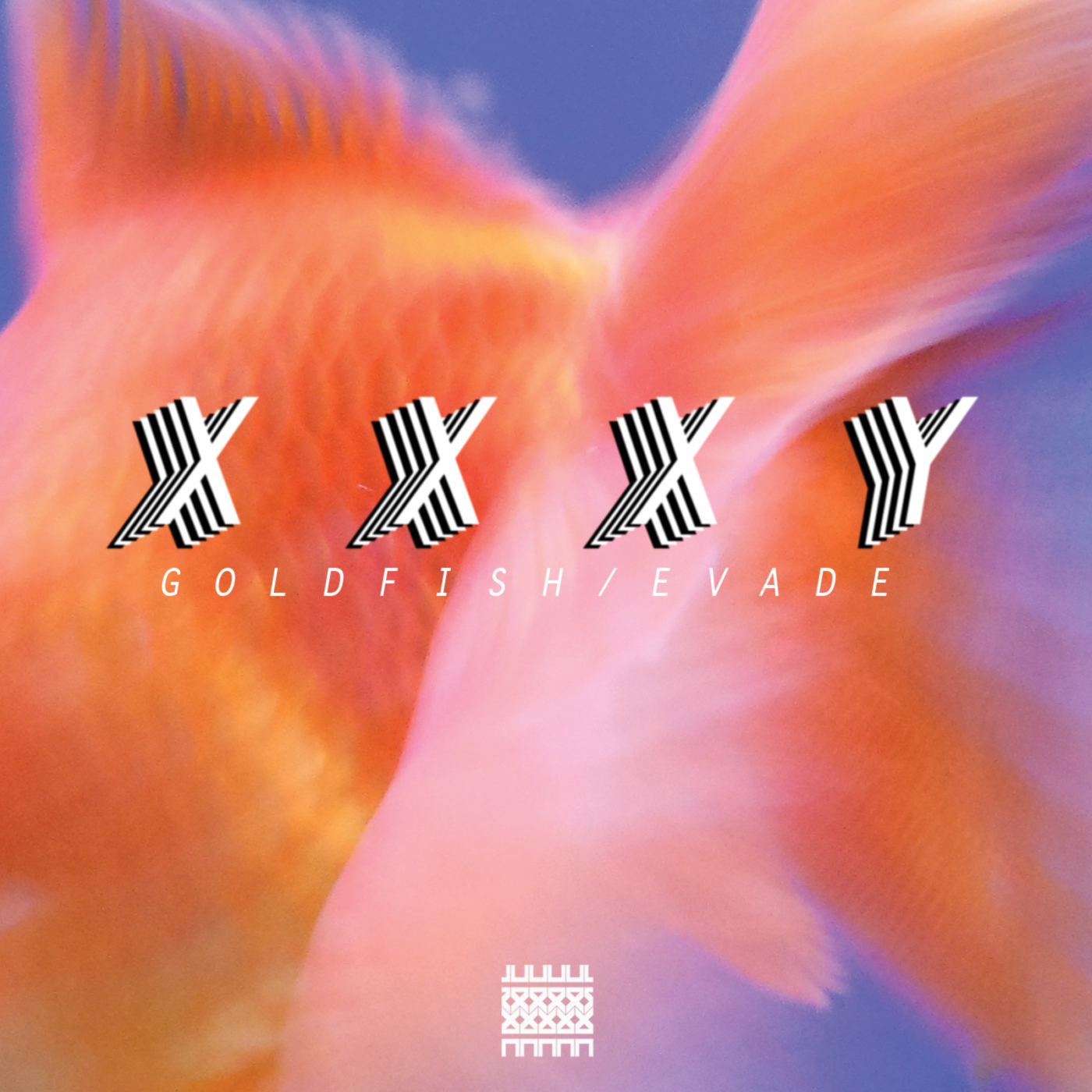 Goldfish Goldfish
