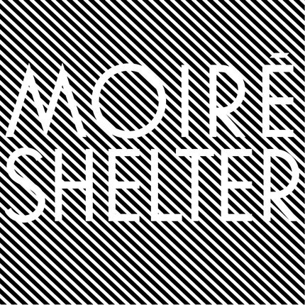 Shelter Shelter