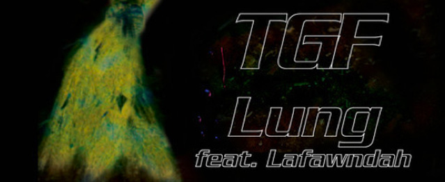 Un adelanto de Thermal, lo nuevo de Teengirl Fantasy Un adelanto de Thermal, lo nuevo de Teengirl Fantasy