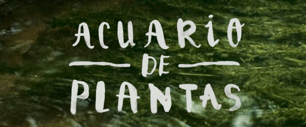 Lost Twin tiene nuevo videoclip Lost Twin tiene nuevo videoclip