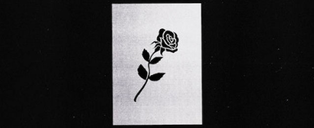 Shlohmo, jefe de Wedidit, regresa Shlohmo, jefe de Wedidit, regresa