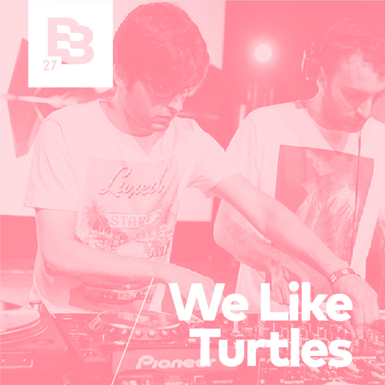 We Like Turtles We Like Turtles