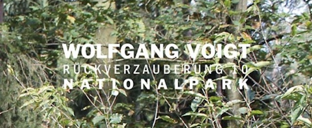 Wolfgang Voigt tiene nuevo disco conceptual Wolfgang Voigt tiene nuevo disco conceptual