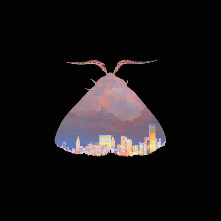 Moth Moth