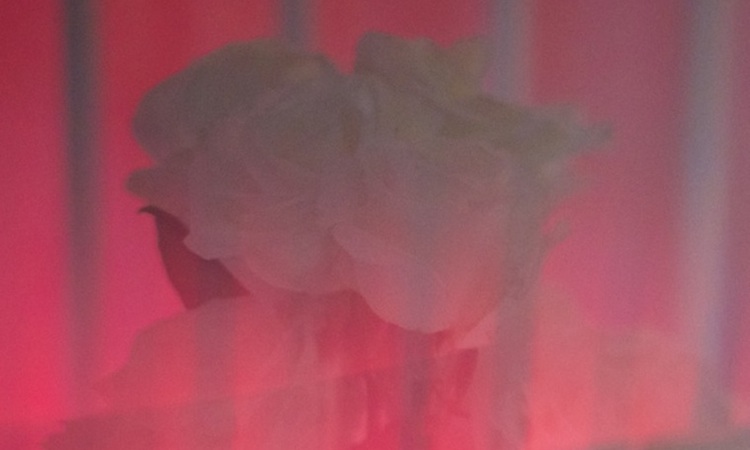 Johnny Jewel (Chromatics) pone música a un poema de Chloë Sevigny Johnny Jewel (Chromatics) pone música a un poema de Chloë Sevigny