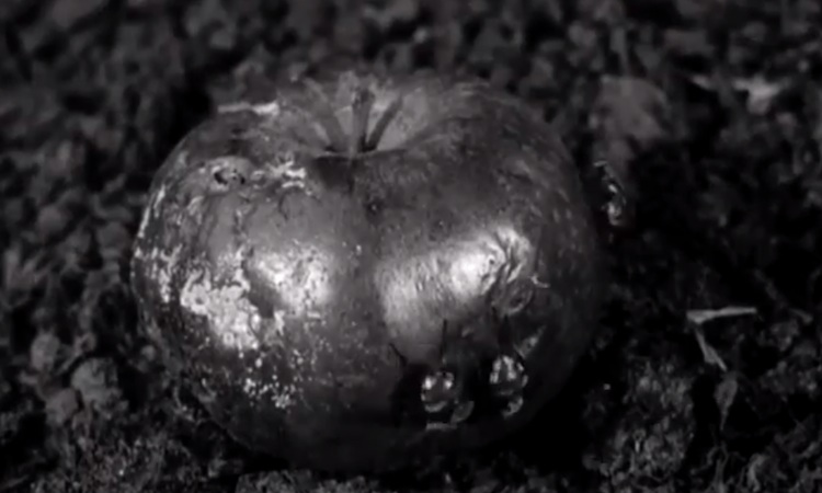 Mogwai reflejan el deterioro del planeta en su nuevo videoclip Mogwai reflejan el deterioro del planeta en su nuevo videoclip