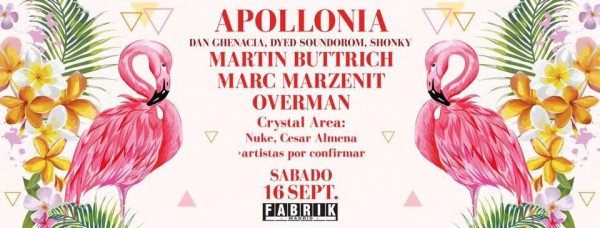 20645970_1522369667828359_1131376509_n